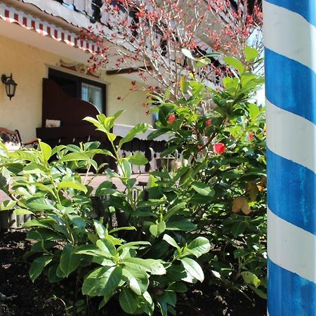 Birkenhof Pension Mit Herz Пфронтен Экстерьер фото